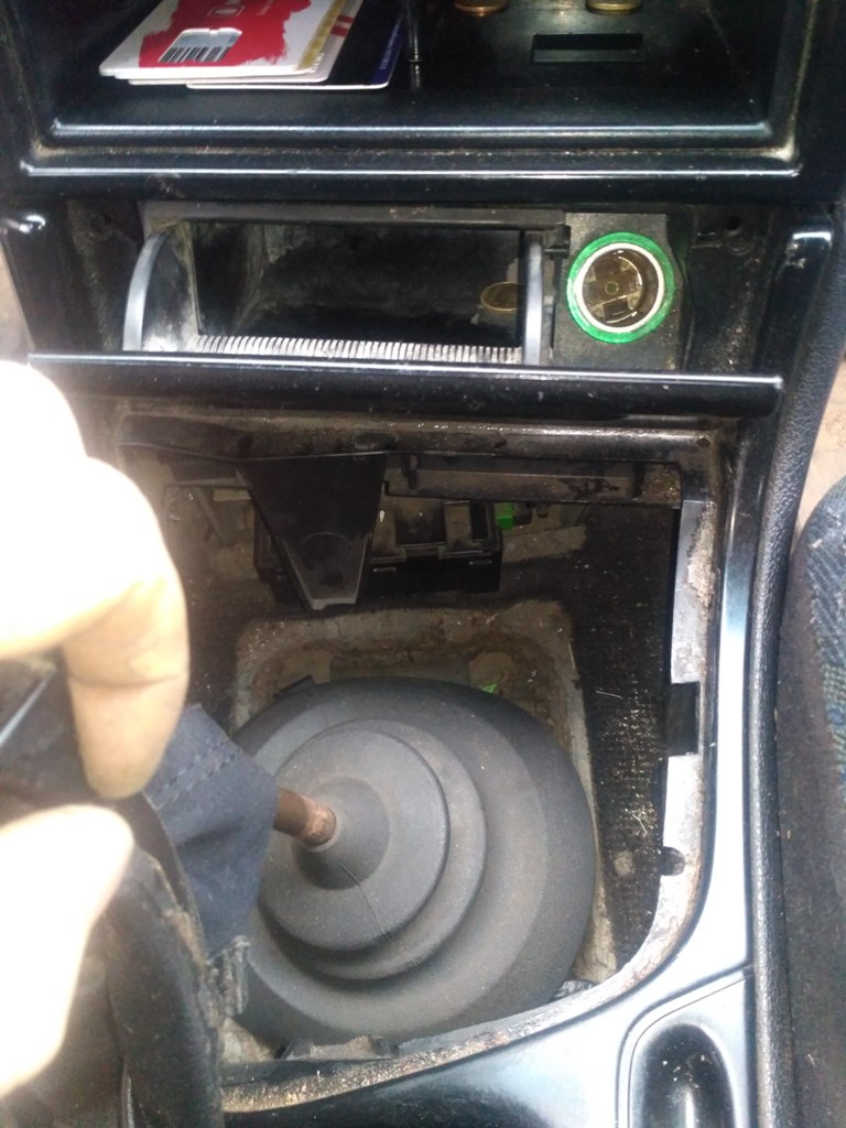 расположение иммо Mondeo